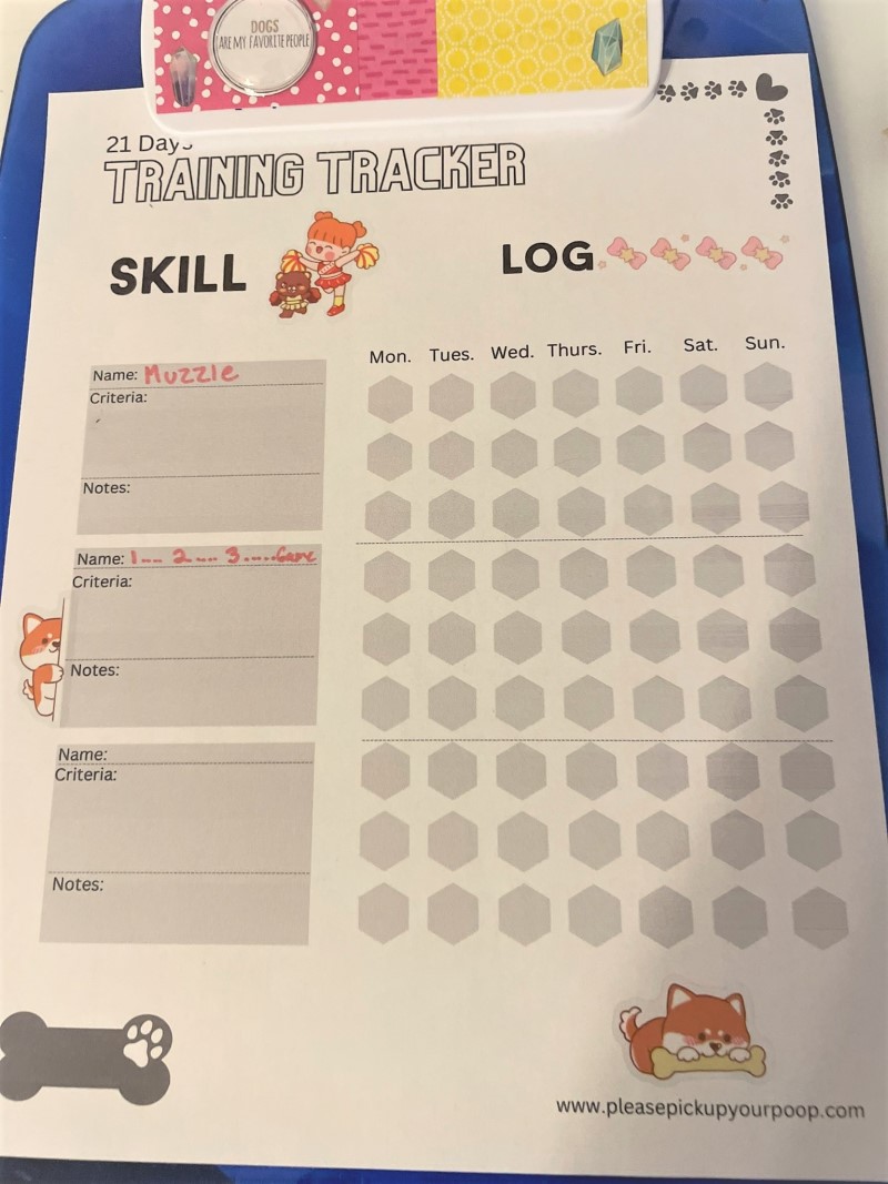 A royal blue clip board with a white piece of paper titled 21 Day Training Tracker. To the right side of the page are three rows with seven hexagons labeled monday through friday under a label called log. To the left is a section calld skill, with three boxes. Inside the box is written name, critiera and notes.